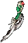 Chaghatai's Dagger
