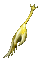 The Dagger of Apollo